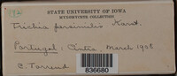 Image Associated With the Occurence